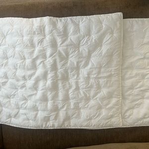 Pair Pottery Barn Pillow Shams
